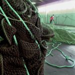 Materiał Carpet Studio -Marka EGE-sieci rybackie