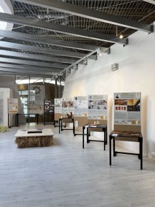 Young Design1