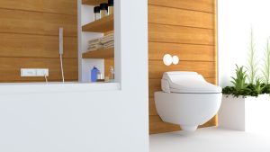 Wizualizacja_BioBidet_Polska (5)