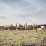 WIERZCHOWISKA_05